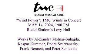 quotWind Powerquot TMC Winds in Concert [upl. by Fifine247]