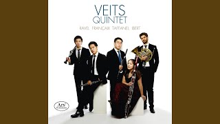 Wind Quintet in G Minor II Andante [upl. by Gussman]