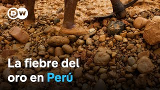 La destrucción medioambiental por la fiebre del oro a orillas del río Madre de Dios [upl. by Mcconnell]