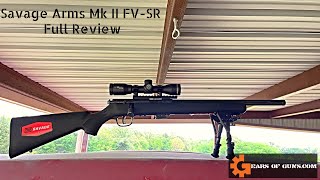 Ruger Precision vs Savage 93 R17 [upl. by Taite]