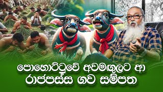 පුන්නක්කු තණකොළ දන්සැල් හැමතැනම [upl. by Dillon587]