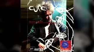 25 a forest  outro  THE CURE LIVE AT NUEVO LEON MEXICO 1992 [upl. by Lyrahc]