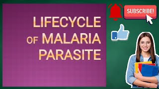 Life cycle of Malaria Parasite Life cycle of Plasmodium [upl. by Omura680]