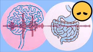 035  Psychobiotics Microbes Mood and the GutBrain Connection Scott Anderson [upl. by Dickinson]