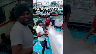 Sassoon dock Mumbai seetherealindia Mumbai shortsvideo fishing [upl. by Carlynn606]