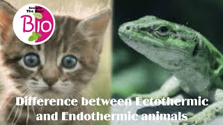 Difference between Ectothermic and Endothermic animals by Simply The Best BIO [upl. by Akirderf]