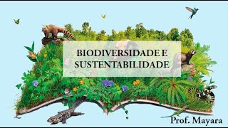 Biodiversidade e Sustentabilidade  9º ano [upl. by Mayberry91]