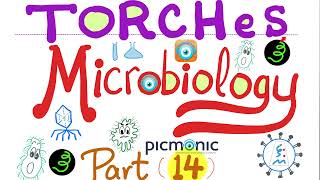 TORCHeS infections  Toxoplasma Others Rubella CMV Herpes HIV Syphilis  Picmonic Micro 14 [upl. by Jorge]