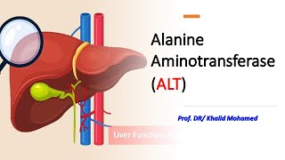 Alanine Aminotransferase ALT liverdisorders hepatitis gpt [upl. by Ibor]