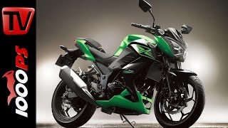 Kawasaki Z 300 2015  Specs Price Release [upl. by Eahsal]