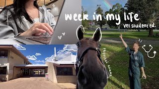 STUDY VLOG  a week in my life as a veterinary medicine student 🩺👩🏻‍⚕️ [upl. by Wainwright]