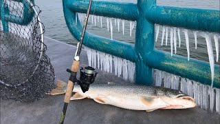 Saginaw Bay LAKE TROUT Fishing  Lake Huron Pier Casting  Caseville Michigan [upl. by Aillil]