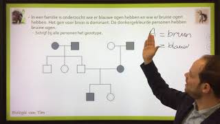 Biologie van Tim  Stambomen [upl. by Anoyi]