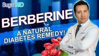 Does Berberine Really Help Control Blood Sugar Dump Metformin [upl. by Topliffe563]