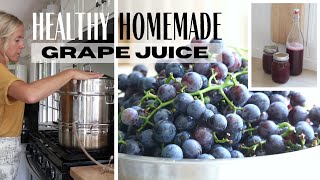 Juicing Grapes  Preserving Grapes  Healthy Grape juice  Grape Juice Tutorial [upl. by Gant]