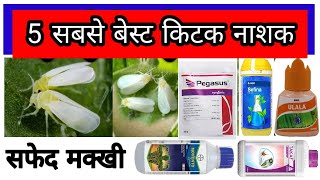 सफेद मक्खी के लिए 5 सबसे घातक कीटनाशक  white fly control  Top 5 Insecticide  Kapas ki Khetiquot [upl. by Dincolo]