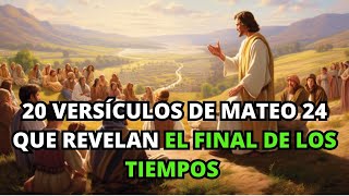 20 Versículos de Mateo 24 que Revelan el Final de los Tiempos  La BIBLIA Lo Explica [upl. by Erroll31]