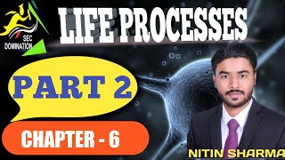 life processes part 2 [upl. by Edalb]