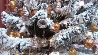 Kerstsfeer Tuinland Zwolle 2016 HD youtube [upl. by Solberg503]