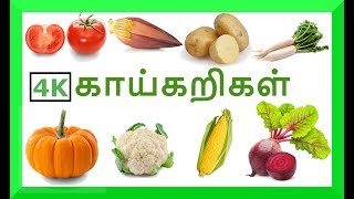 காய்கறிகள்  குழந்தை தமிழ் Learn Vegetables names video for Kids and children in Tamil [upl. by Davilman]