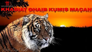 Mitos Khasiat Ghaib Kumis Macan  Harimau [upl. by Flan487]