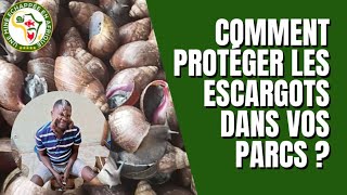 Comment Protéger vos Escargots dans un parc  partie 1 [upl. by Earissed]