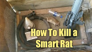 How to Kill a Smart Rat  Without Poisoning Your Own Animals amp Property [upl. by Foushee]