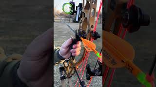 Hoyt Alpha X 33 2024 setup archery hoyt hoytarchery bowhunting hunting [upl. by Petty]