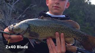 Yellowbelly fishing at Glenlyon dam [upl. by Bein]