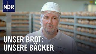 Handwerksbäcker Familienbetrieb und Brotfabrik Sie backen dein Brot  Unser Brot  NDR Doku [upl. by Piane]