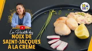 Noix de SaintJacques à la crème  Lidl Cuisine [upl. by Magda916]