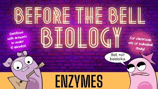 Enzymes Before the Bell Biology [upl. by Supat514]