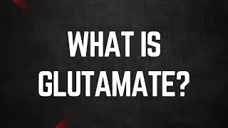 What is Glutamate [upl. by Cymbre785]