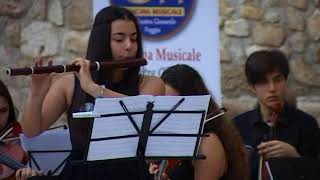 A Vivaldi Concerto per flauto traversiere e archi [upl. by Atteloj]