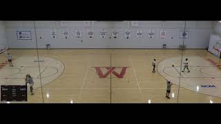 Wells College vs Houghton University Mens College Volleyball [upl. by Nalyd]