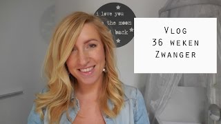 Vlog  36 weken zwanger [upl. by Stubstad]