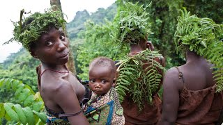 The Forest People Of BurundiLife Outside The Forest [upl. by Leafar]