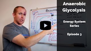 Anaerobic glycolysis [upl. by Pammi]