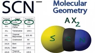 SCN Molecular Geometry  Shape and Bond Angles [upl. by Drofdarb139]