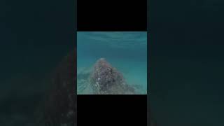 Kemer Beldibi Snorkling shorts Turkish Boohing [upl. by Ahrat]