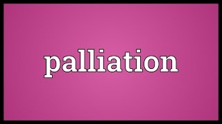 Palliation Meaning [upl. by Garaway]