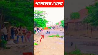 Baba Tomar Dorbare Sob Pagoler Khela shortvideo BabaTomarDorbare funny [upl. by Nivac]