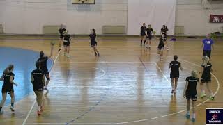 Handball Passing Drill 3 [upl. by Sitnerp]