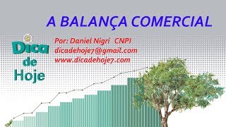 DICA DE HOJE  Balança comercial [upl. by Yerac796]