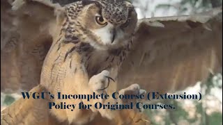 WGUs Incomplete Course Policy Extension for Original Courses [upl. by Anaek441]