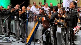 Por Debajo de la Mesa En vivo ft Orquesta Sinfónica de Aguascalientes [upl. by Gastineau]