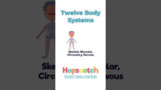 Twelve Body Systems Science Songs for Kids hopscotchsongs learnwithme anatomy kidssong learn [upl. by Nara924]