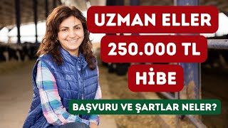 Uzman Eller 250000 TL Hibe kimler ne zaman nereye nasıl başvuru yapabilir [upl. by Zoltai249]