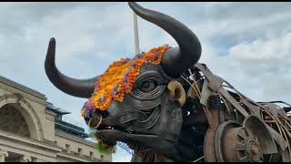 Commonwealth Games 2022 Birmingham bull a tourist attraction  raging bull [upl. by Henson109]