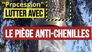 Conseils pour traiter et éradiquer des chenilles processionnaires du pin avec le collier écopiège [upl. by Araccat]